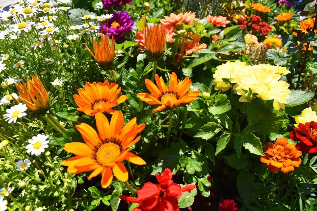 Hotel Garden Terrace 이스탄불 외부 사진